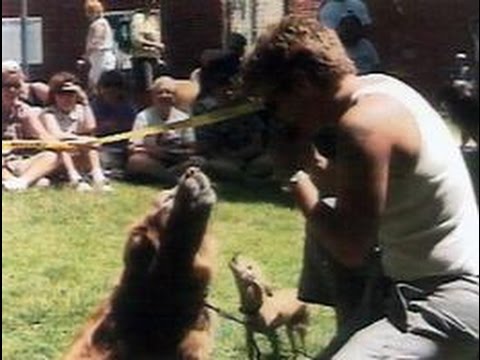 DYKES & THEIR DOGS : A Musical Comedy Dykeumentary! | LGBT Hollywood