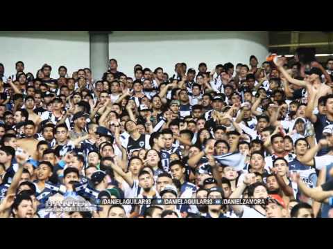 "Rayados vs Veracruz, Nivel de cancha, Jornada 7 CL16" Barra: La Adicción &bull; Club: Monterrey