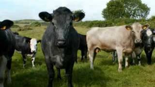 Flux Of Pink Indians - Sick Butchers