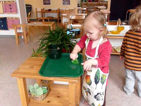 Montessori Infant Video: Plant Watering 2