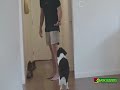 Play Video: Door Manners: Before and After
