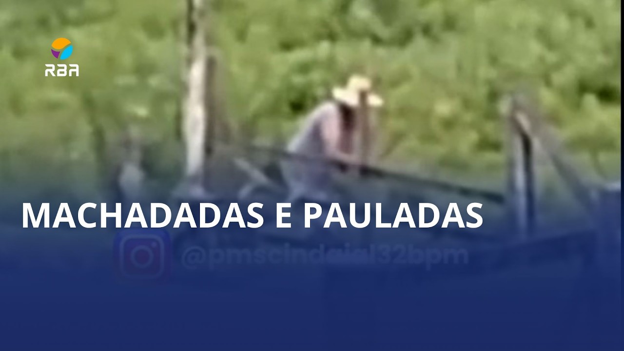 Ministério Público pede prisão preventiva de suspeitos de matar cães em Timbó e Rio dos Cedros