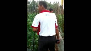 Download lagu Cabe dengan produk Nasa mp3