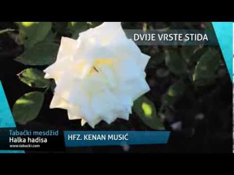 hfz. Kenan Musić - Dvije vrste stida