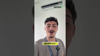 PALMEIRAS COM PROBLEMA PARA O DUELO COM O SÃO PAULO! - MINUTO DO PALMEIRAS