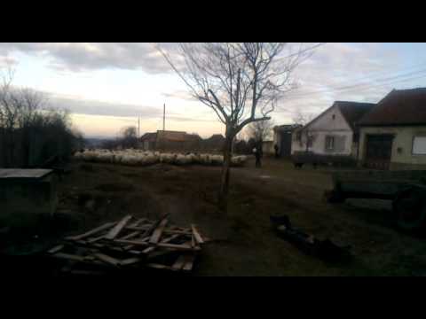 Turma de oi(binis C-S)2