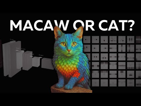 Why are Transformers replacing CNNs?