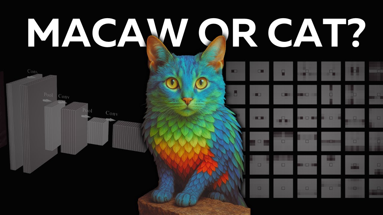 Why are Transformers replacing CNNs?