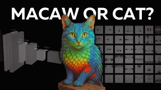 Why are Transformers replacing CNNs?