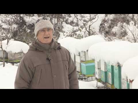 Boja meda ep.43 01.01.2019. - med na prazničnoj trpezi, pčele tokom snega, med i lekovito bilje