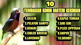 Download lagu SUARA BURUNG KOLIBRI NINJA FULL TEMBAKAN TONJOLAN MEWAH 100% NYAUT mp3