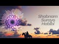 Shabnam Surayo-Habibi-Шабнам Сураё- Хабиби (8D Audio 🎧)