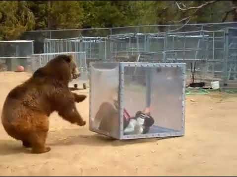 Хотела острых ощущений? Сейчас устроим!