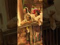Tenu Samne Bitha Ke Tasveer BanvaJi Karda Mera Tenu Vekhi Jawa ️ Kanhajibhajan Radhekrishna