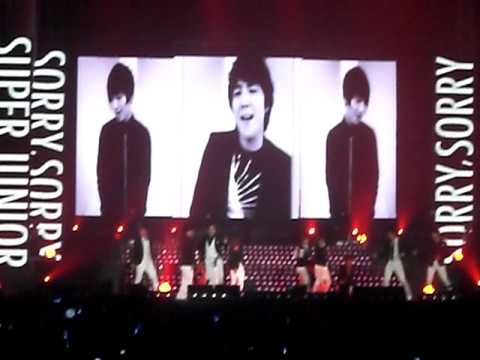 [fancam] super junior - Sorry Sorry