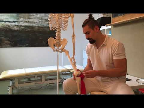 Brace hip difficile Capsule del dolore alle articolazioni terafleks