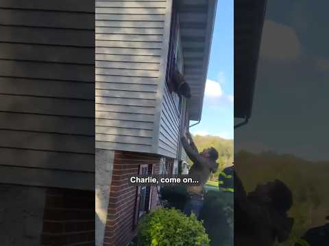 Strangers & firefighters heroically rescue pets from burning home ❤️❤️