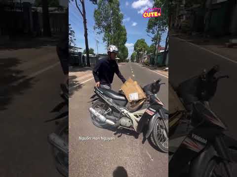Va chạm với xe ô tô thanh niên vội và cúi đầu xin lỗi #dailyvlog #foryou #tintuc #xuhướng #giaitri