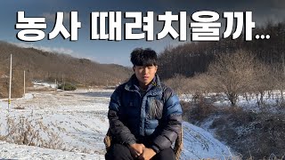 귀농3년차 방울토마토 비닐하우스 1,000평 수익공개