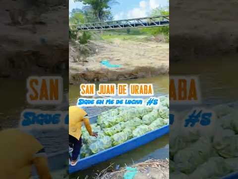 San Juan de uraba resiste !! #5