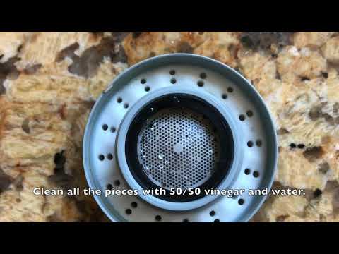 Grohe Lady Lux Kitchen Faucet Spray Head Disassembly and Cleaning