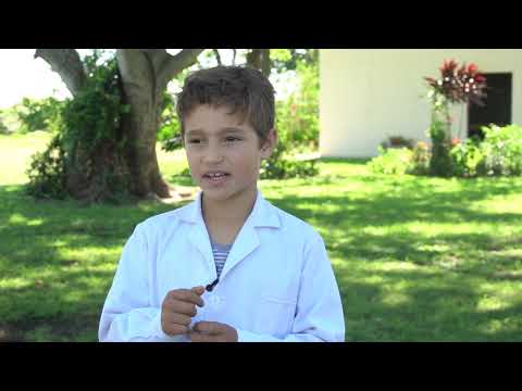 Jaaukanigás - Gente del Agua -