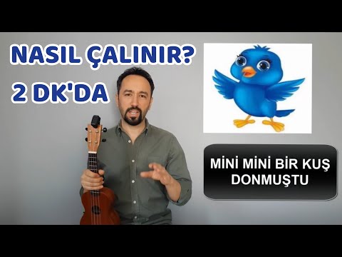 MİNİ MİNİ BİR KUŞ 2 DAKİKADA UKULELE İLE NASIL ÇALINIR - UKULELE DERSİ ÇOCUK ŞARKISI