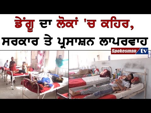 ਡੇਂਗੂ ਦਾ ਲੋਕਾਂ 'ਚ ਕਹਿਰ, ਸਰਕਾਰ ਤੇ ਪ੍ਰਸਾਸ਼ਨ ਲਾਪਰਵਾਹ