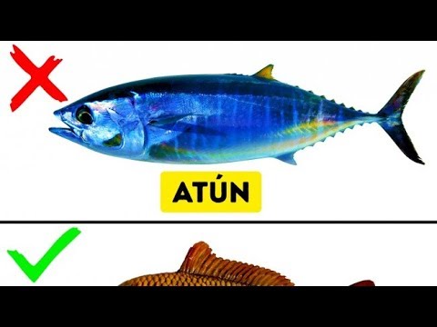 Cebiche: sí al pescado crudo, pero con precauciones