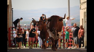Encierros Santa isabel 2019
