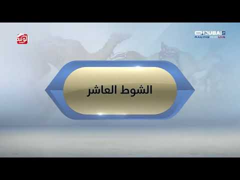 ملخص السباق  مهرجان ولي عهد دبي 2026/1/20 ثنايا المرموم