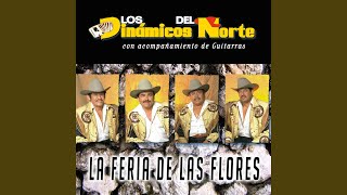 Dejenme Llorar Lyrics English Translation