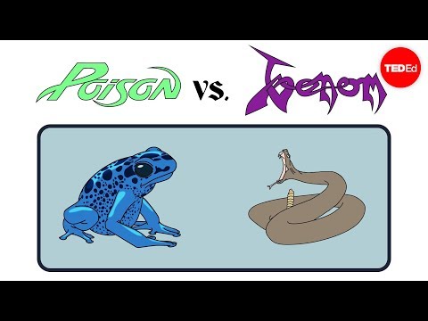 Poison vs. venom: What's the difference? - Rose Eveleth