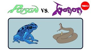 Poison vs. venom: What&#39;s the difference? - Rose Eveleth