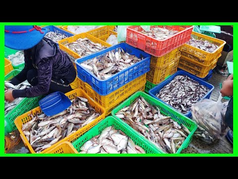 Chbar Ampov market on 2020 / Fresh fish market / Early morning for fresh food.