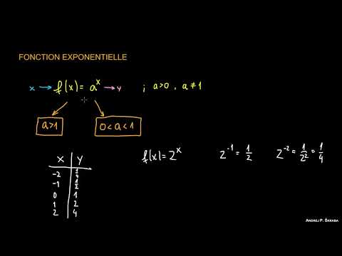 Qu'est-ce qu'une Fonction Exponentielle ?