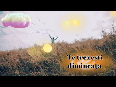 NICKY YAYA PREOTU 🙌TE TREZESTI DIMINEATA 🙌