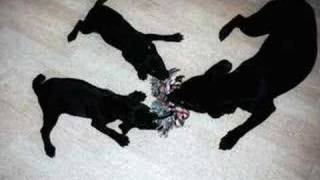 Tipper - Tug Of War
