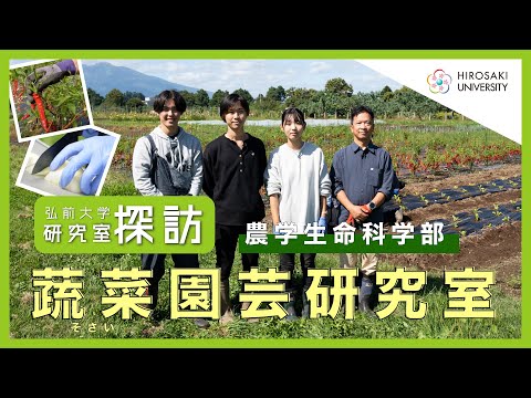 【弘前大学 研究室探訪！】～農学生命科学部 蔬菜園芸学研究室（前田智雄教授）編～