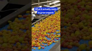 Here’s how much #organicfarming really costs. #farm #businessowner #agriculture