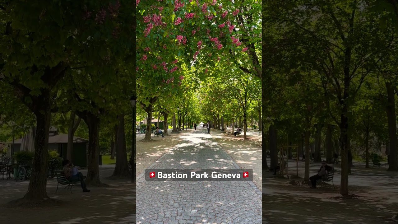 YouTube Short thumbnail