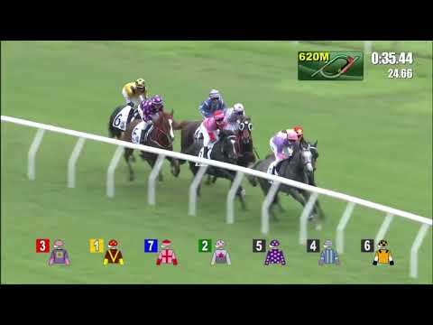 10/7/2022 (807) Forever Friends -  J Moreira