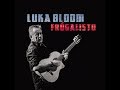 LUKA BLOOM |  WARRIOR