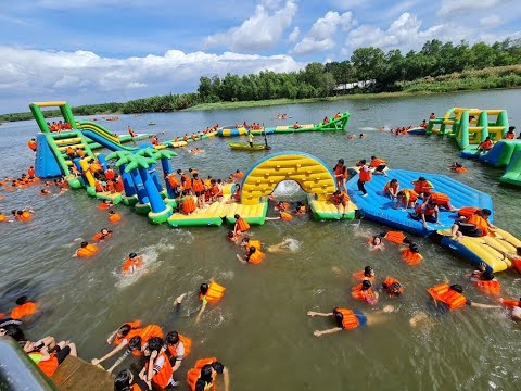 the great farm Bò Cạp Vàng