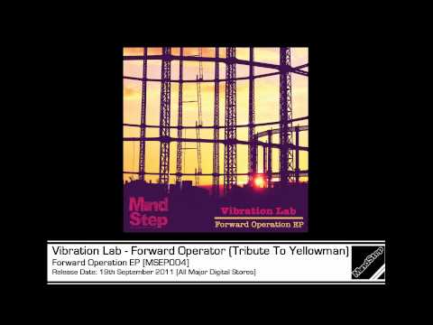 Vibration Lab - Forward Operator (Tribute To Yellowman) [MSEP004 Preview]