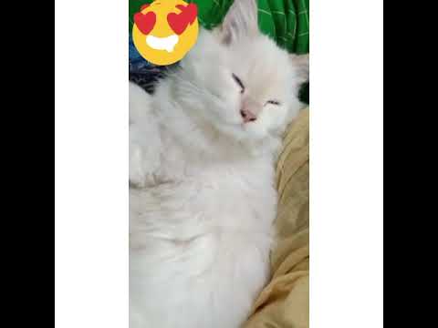 True love!! # 💞❤💞❤💞