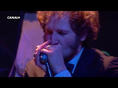 Daddy Long Legs - Motorcycle Madness - Live on Canal +