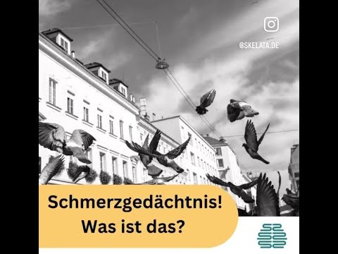 Unser Gehirn ist eine faule Socke.... Was ist das Schmerzgedächtnis?