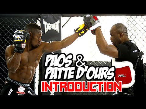 PAO — Introduction