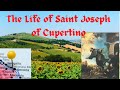 Saint Joseph Of Cupertino HD